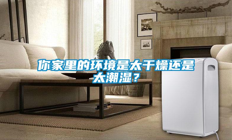 你家里的環境是太干燥還是太潮濕？