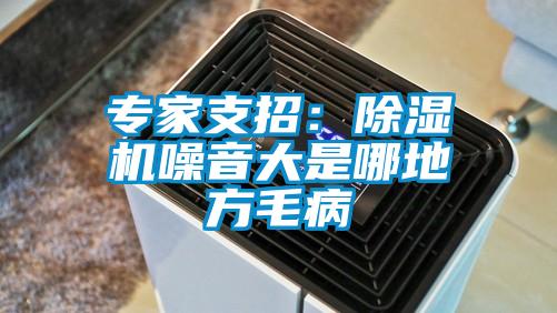 專(zhuān)家支招:除濕機(jī)噪音大是哪地方毛病