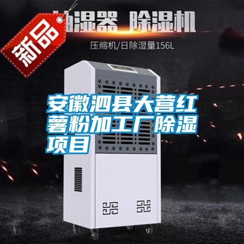 安徽泗縣大營(yíng)紅薯粉加工廠除濕項(xiàng)目