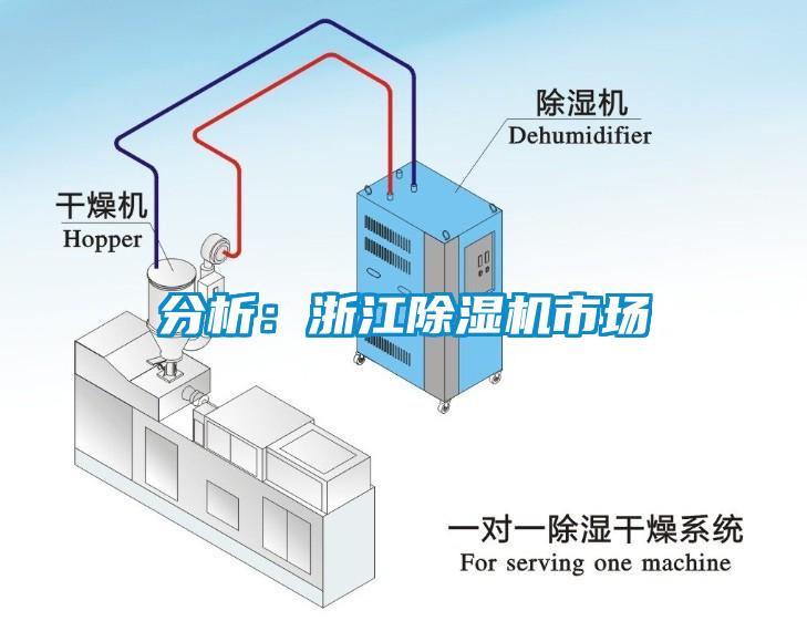 分析：浙江除濕機(jī)市場