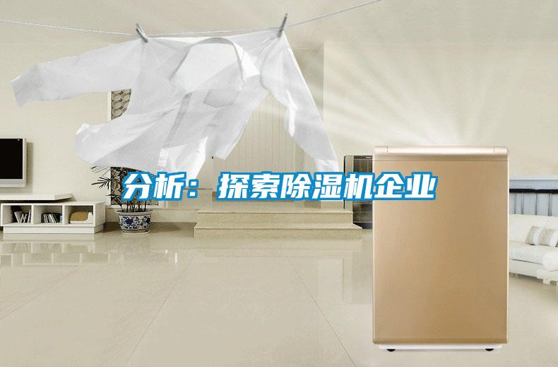 分析：探索除濕機企業(yè)