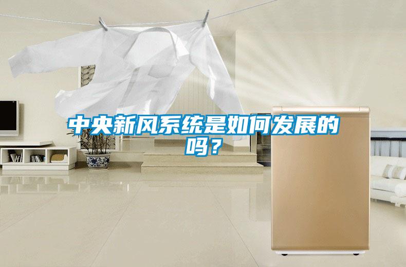 中央新風系統是如何發展的嗎？