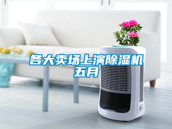 各大賣場(chǎng)上演除濕機(jī)五月