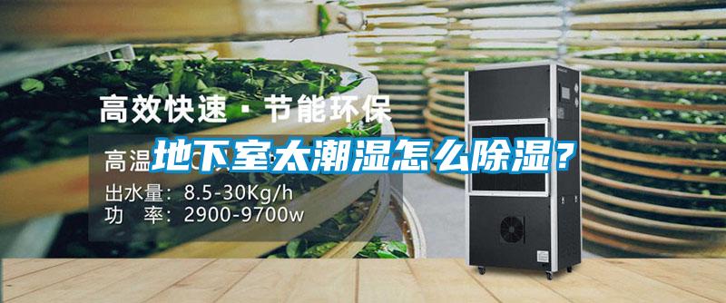 地下室太潮濕怎么除濕？