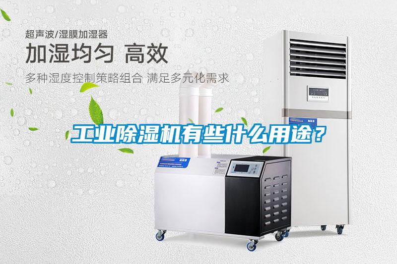 工業(yè)除濕機有些什么用途？