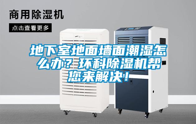 地下室地面墻面潮濕怎么辦?環科除濕機幫您來解決!