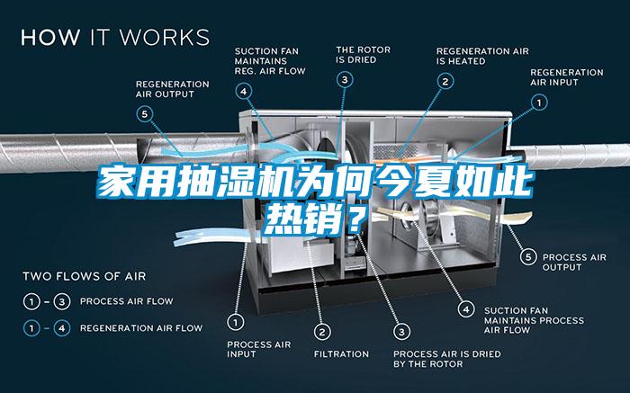 家用抽濕機為何今夏如此熱銷？