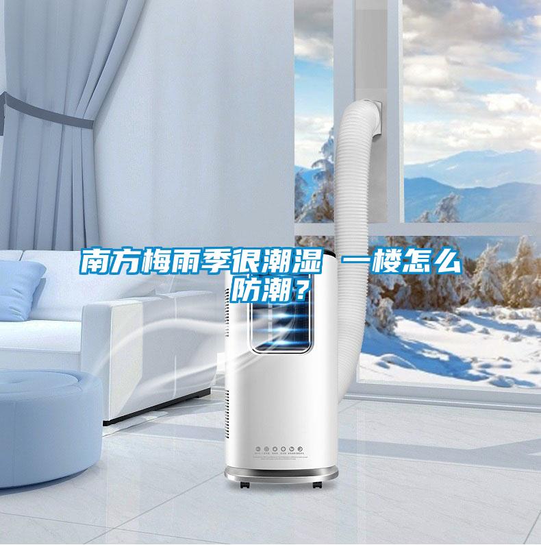 南方梅雨季很潮濕 一樓怎么防潮？