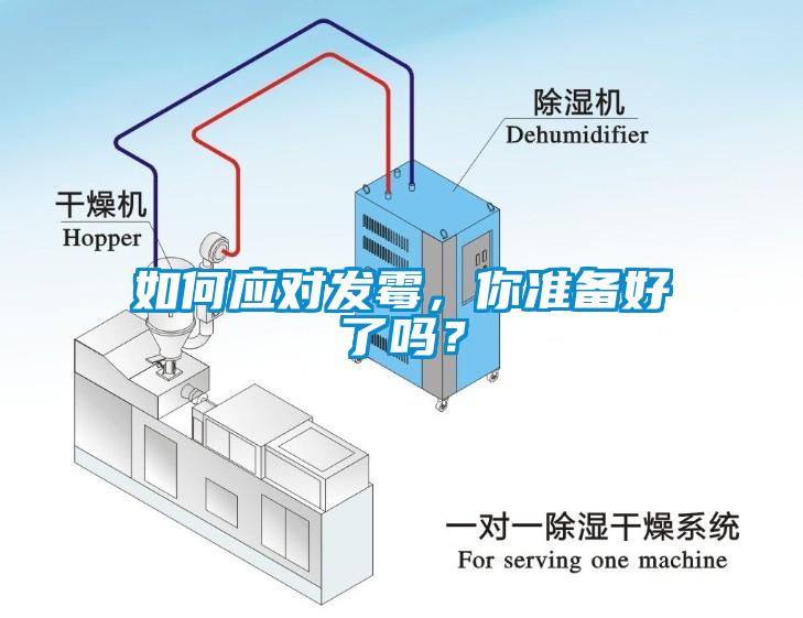 如何應對發霉，你準備好了嗎？