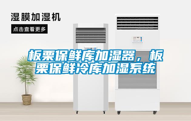 板栗保鮮庫(kù)加濕器，板栗保鮮冷庫(kù)加濕系統(tǒng)