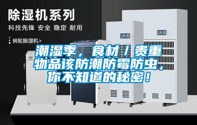 潮濕季，食材／貴重物品該防潮防霉防蟲(chóng)，你不知道的秘密！