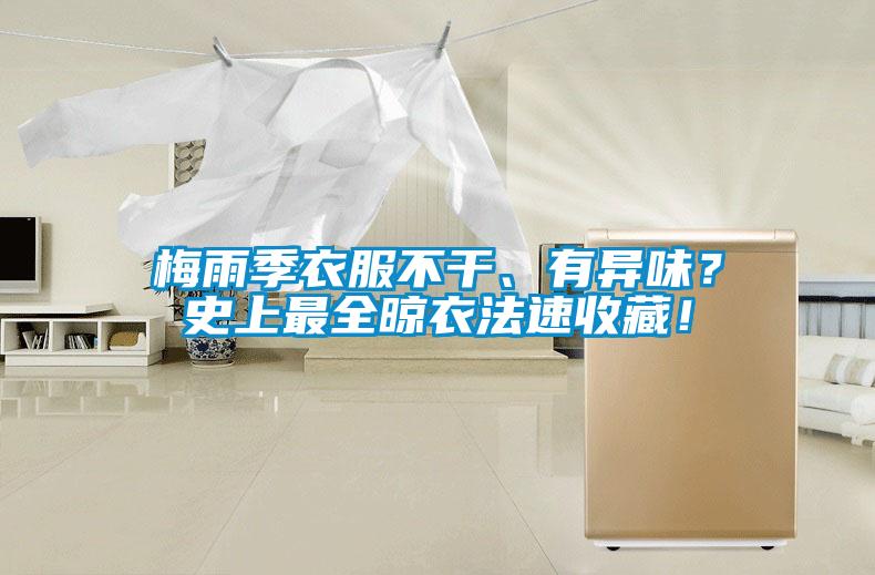 梅雨季衣服不干、有異味？史上最全晾衣法速收藏！