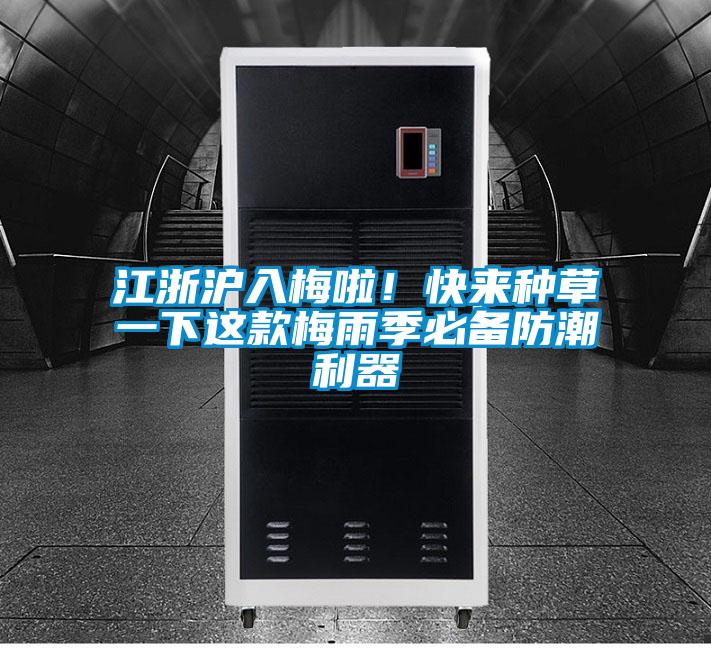 江浙滬入梅啦！快來種草一下這款梅雨季必備防潮利器