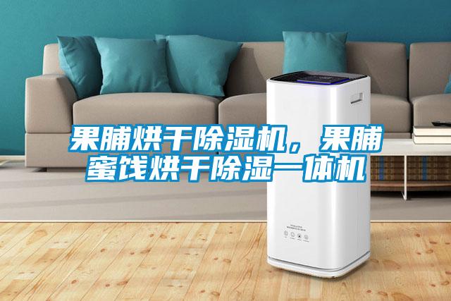 果脯烘干除濕機，果脯蜜餞烘干除濕一體機