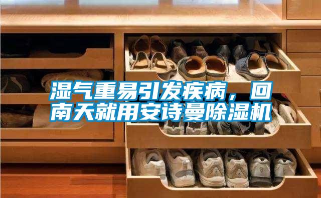 濕氣重易引發疾病，回南天就用安詩曼除濕機