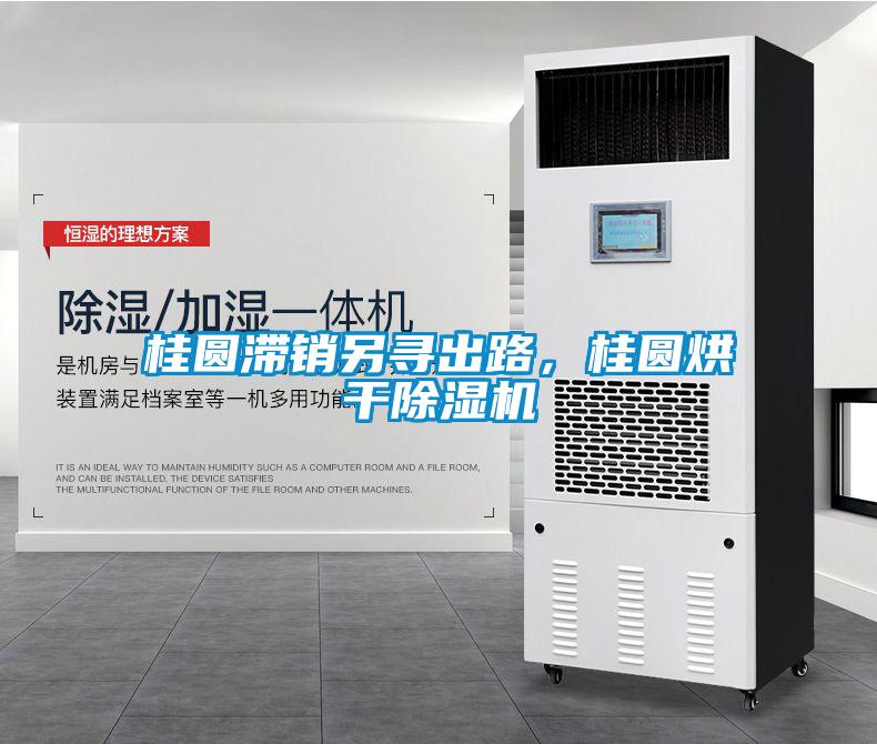 桂圓滯銷另尋出路，桂圓烘干除濕機