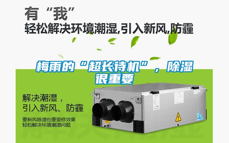 梅雨的“超長待機(jī)”，除濕很重要