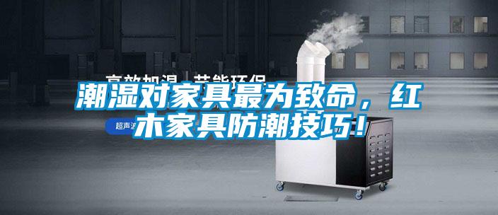 潮濕對家具最為致命，紅木家具防潮技巧！