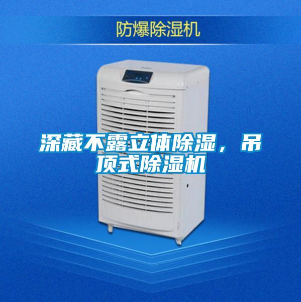 深藏不露立體除濕，吊頂式除濕機(jī)