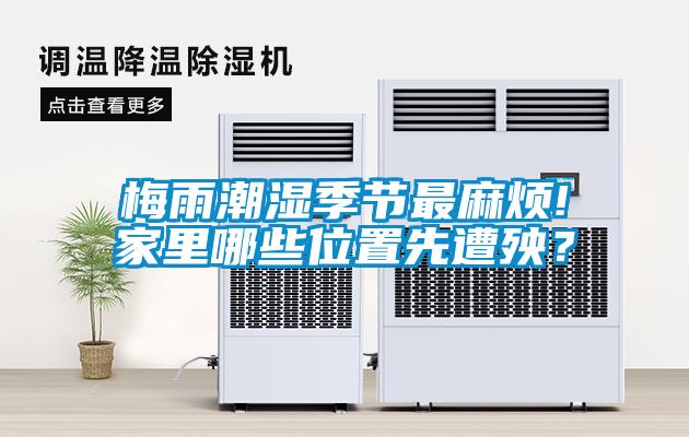 梅雨潮濕季節最麻煩!家里哪些位置先遭殃？