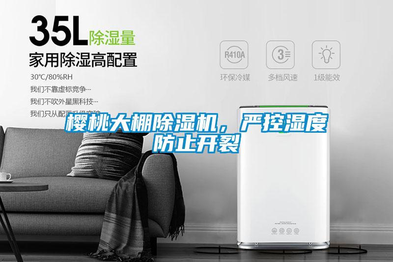 櫻桃大棚除濕機，嚴控濕度防止開裂