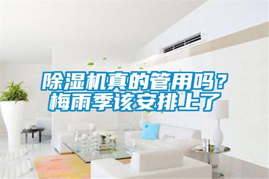 除濕機真的管用嗎？梅雨季該安排上了