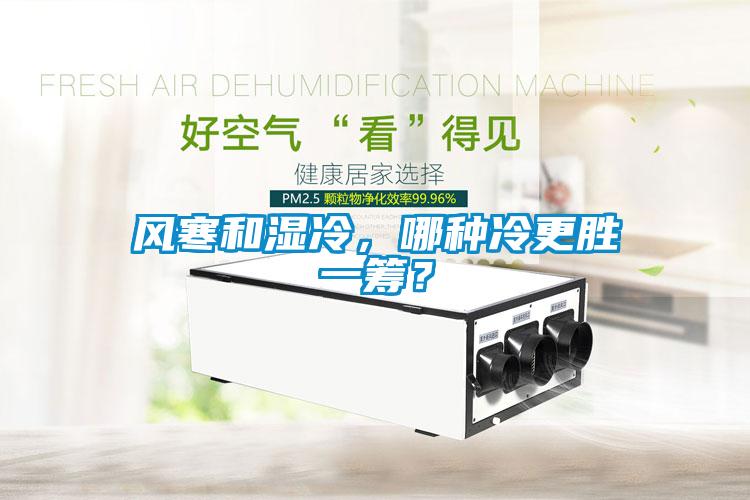 風(fēng)寒和濕冷，哪種冷更勝一籌？