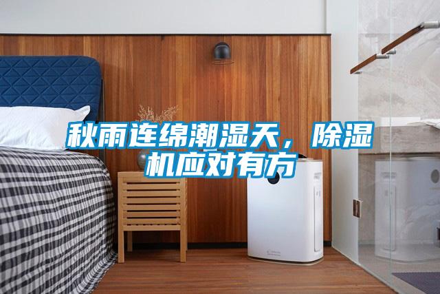 秋雨連綿潮濕天，除濕機應對有方