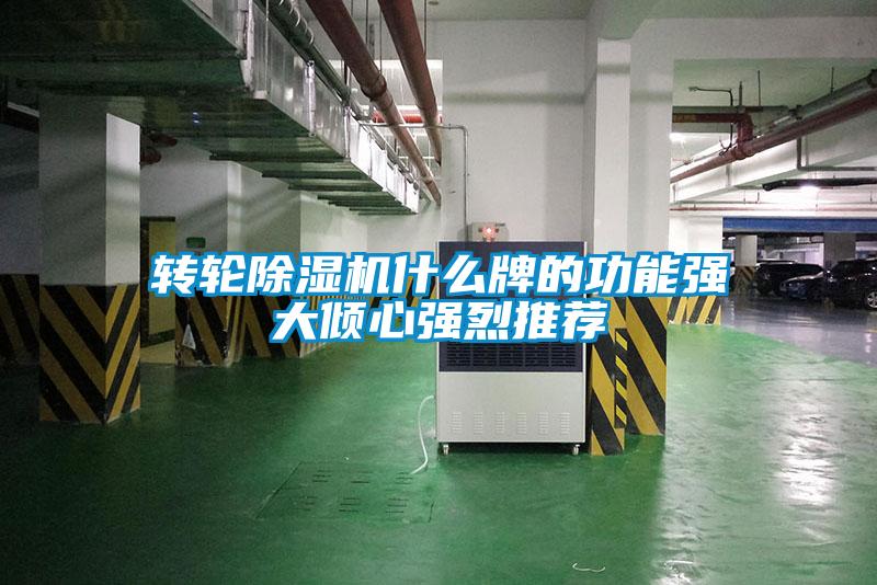 轉(zhuǎn)輪除濕機什么牌的功能強大傾心強烈推薦