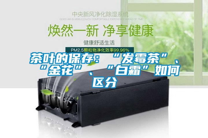 茶葉的保存：“發(fā)霉茶”、“金花”、“白霜”如何區(qū)分