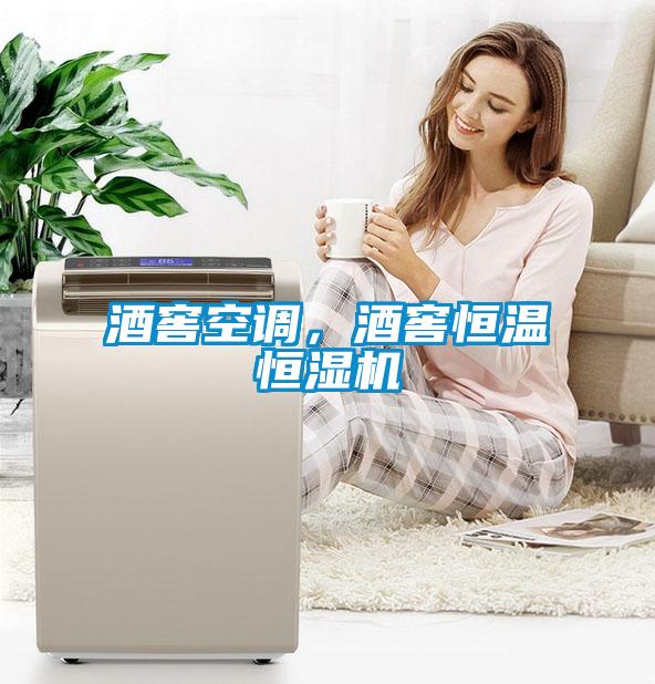 酒窖空調，酒窖恒溫恒濕機