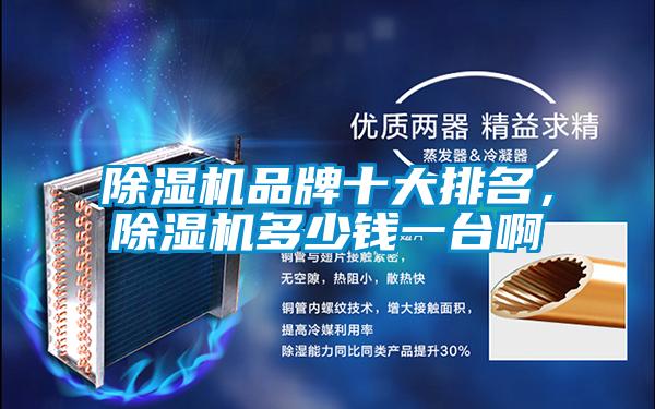 除濕機品牌十大排名，除濕機多少錢一臺啊