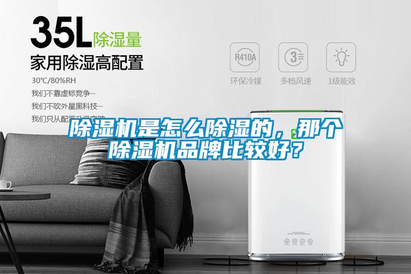 除濕機是怎么除濕的，那個除濕機品牌比較好？