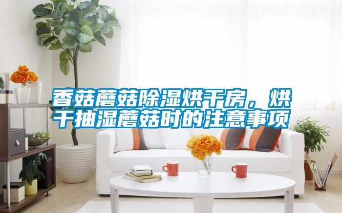香菇蘑菇除濕烘干房，烘干抽濕蘑菇時(shí)的注意事項(xiàng)
