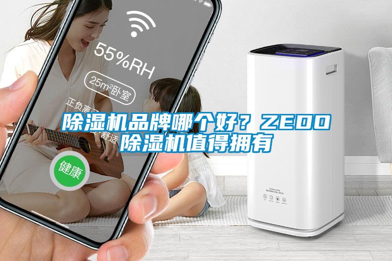 除濕機品牌哪個好？ZEDO除濕機值得擁有