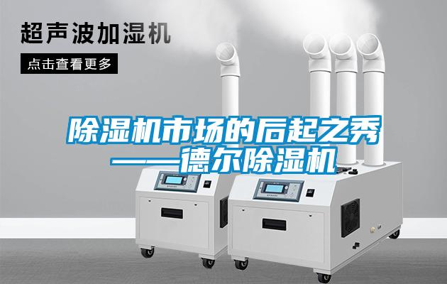 除濕機市場的后起之秀——德爾除濕機