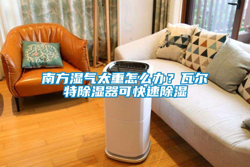 南方濕氣太重怎么辦？瓦爾特除濕器可快速除濕