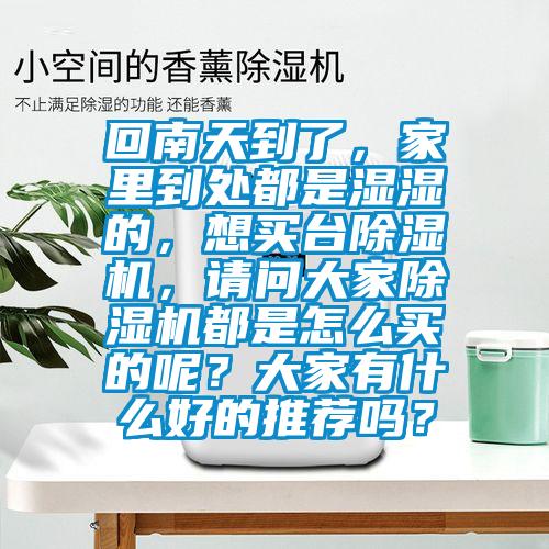 回南天到了，家里到處都是濕濕的，想買臺除濕機，請問大家除濕機都是怎么買的呢？大家有什么好的推薦嗎？