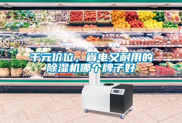 千元價位，省電又耐用的除濕機哪個牌子好