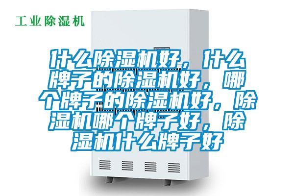 什么除濕機(jī)好，什么牌子的除濕機(jī)好，哪個(gè)牌子的除濕機(jī)好，除濕機(jī)哪個(gè)牌子好，除濕機(jī)什么牌子好