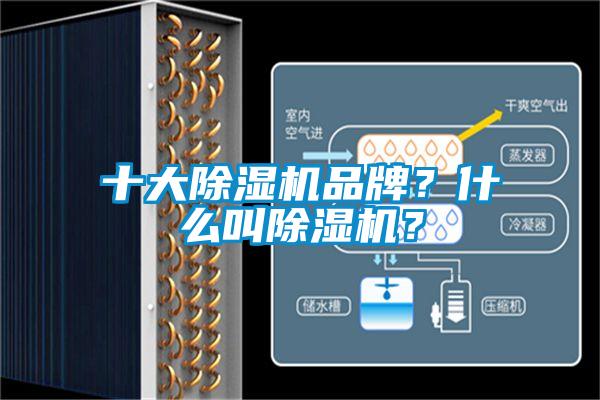 十大除濕機品牌？什么叫除濕機？