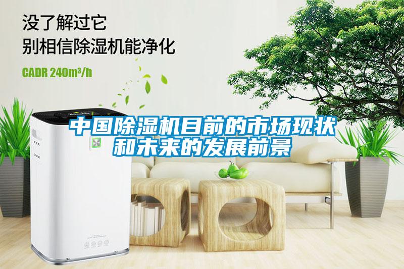 中國(guó)除濕機(jī)目前的市場(chǎng)現(xiàn)狀和未來的發(fā)展前景