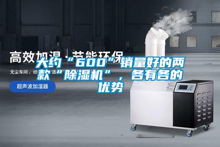 大約“600”銷(xiāo)量好的兩款“除濕機(jī)”，各有各的優(yōu)勢(shì)