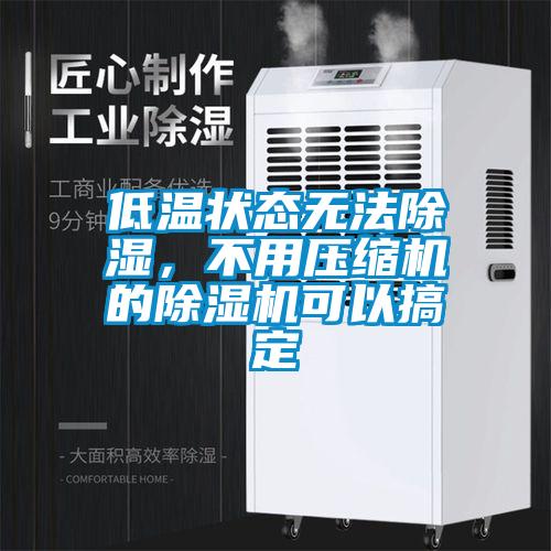 低溫狀態(tài)無法除濕，不用壓縮機的除濕機可以搞定