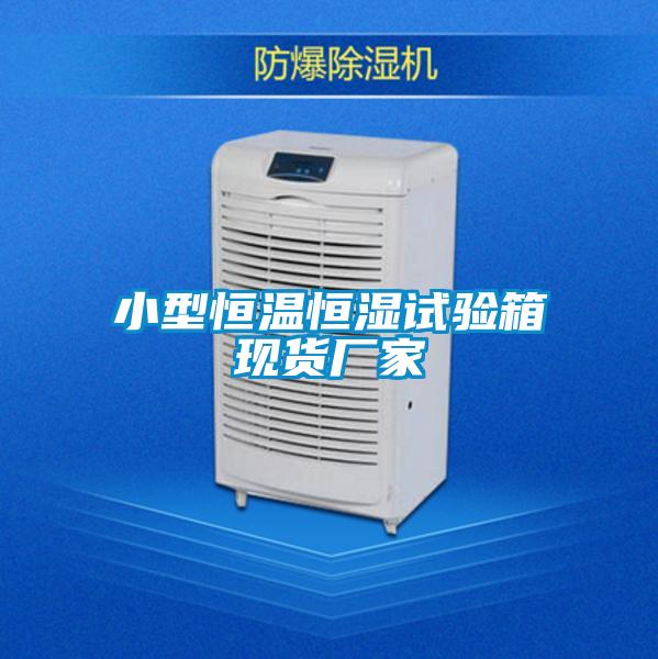 小型恒溫恒濕試驗箱現貨廠家