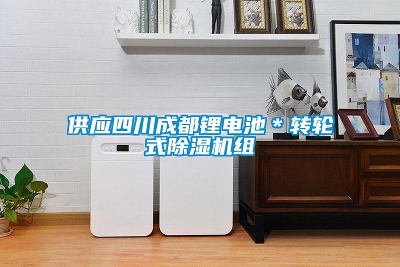 供應(yīng)四川成都鋰電池＊轉(zhuǎn)輪式除濕機(jī)組