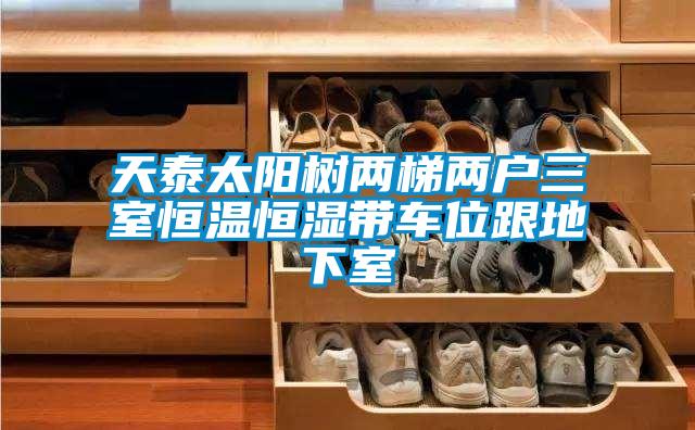 天泰太陽(yáng)樹(shù)兩梯兩戶三室恒溫恒濕帶車位跟地下室