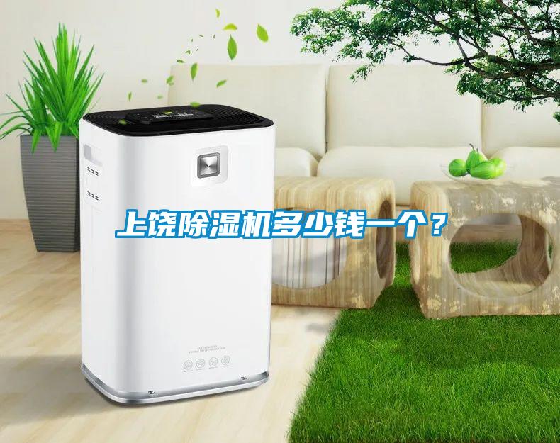上饒除濕機多少錢一個？