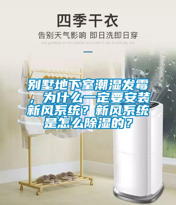 別墅地下室潮濕發霉，為什么一定要安裝新風系統？新風系統是怎么除濕的？