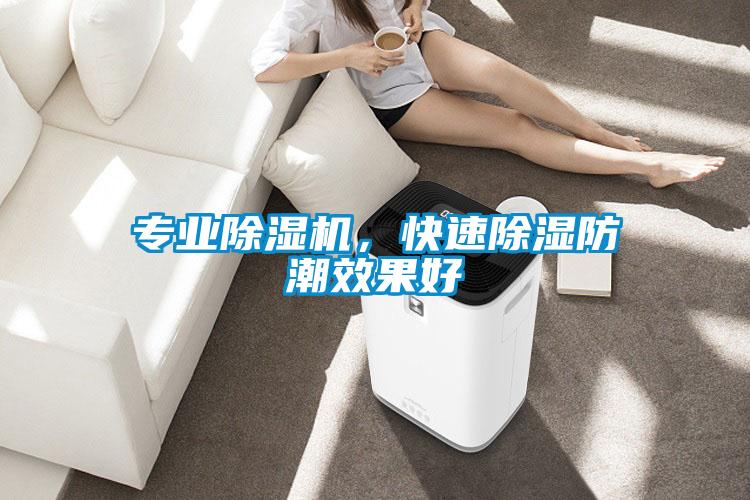 專業除濕機，快速除濕防潮效果好